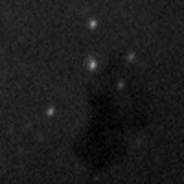 Orion Guia ótico adaptivo SteadyStar (formato grande)
