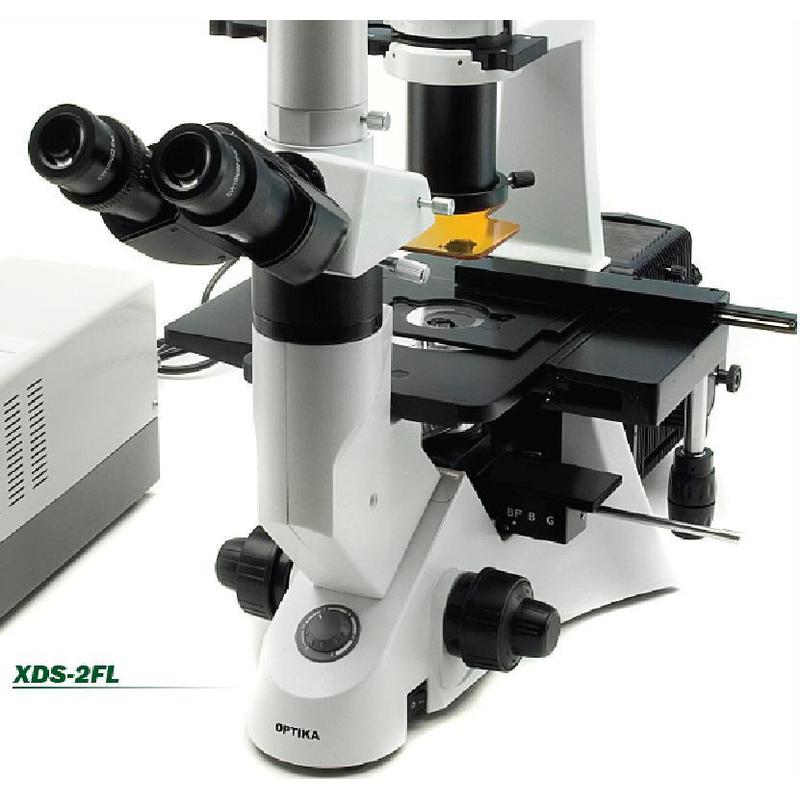 Optika XDS-2FL, Microscópio triocular de fluorescência  inverso