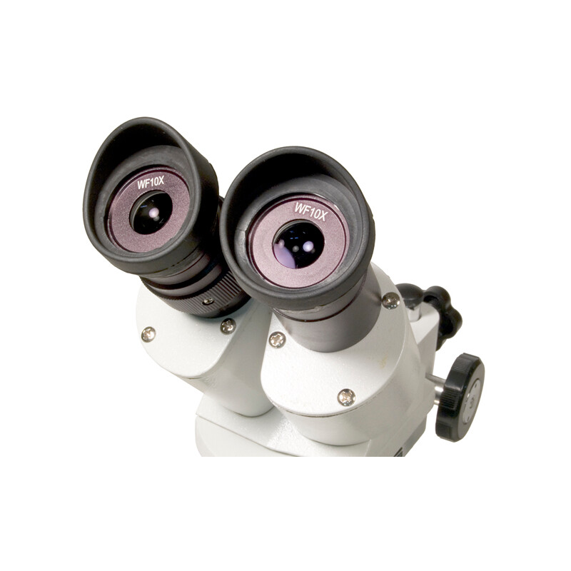 Levenhuk Microscópio stéreo 3ST 20-40x Halogen